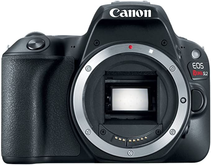 Canon sl2 (200d) body only image