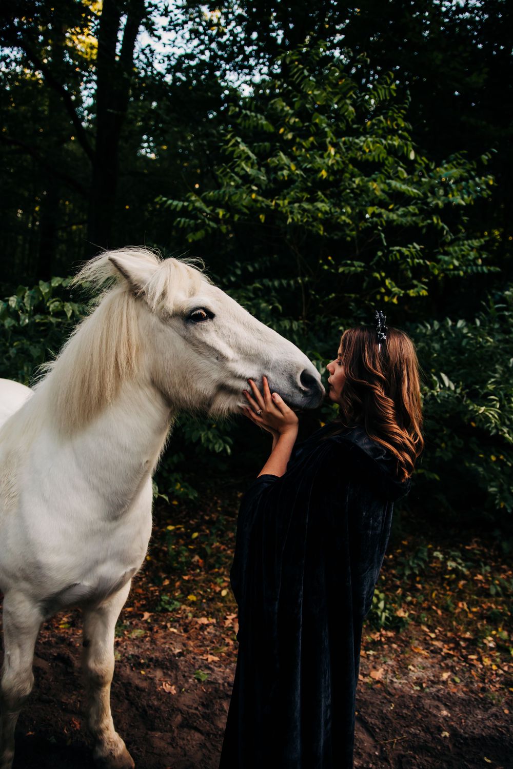 White horse and cloaked figure interact in a mystical forest setting.