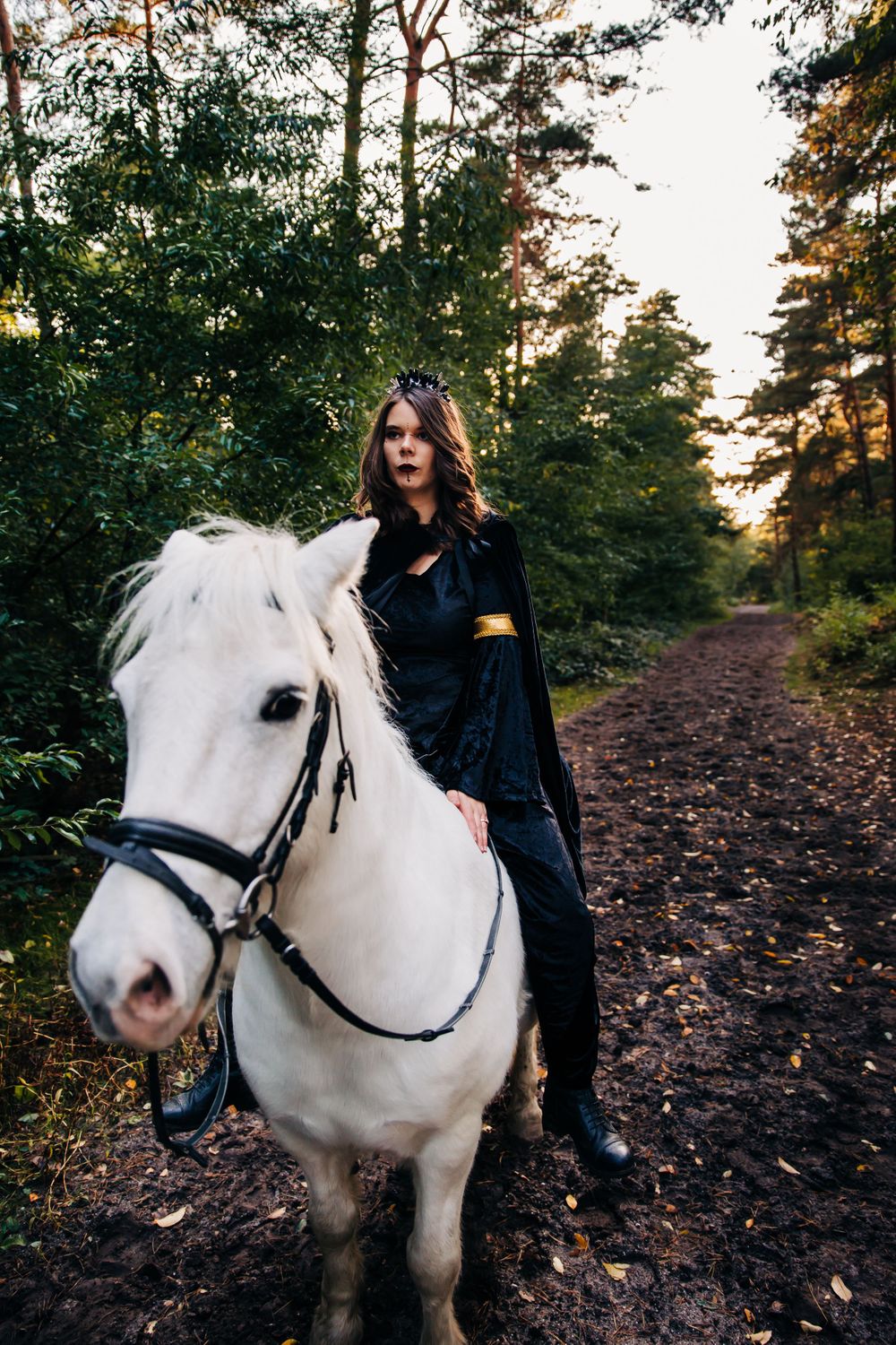 A beautiful white horse on a forest trail with figure in dark attire.
