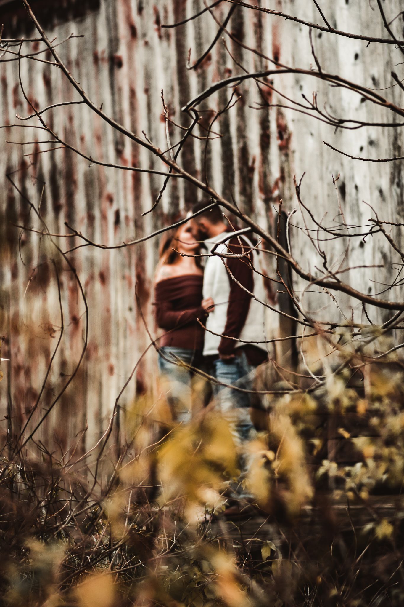 Artistic photo through bare branches with blurred rustic background.