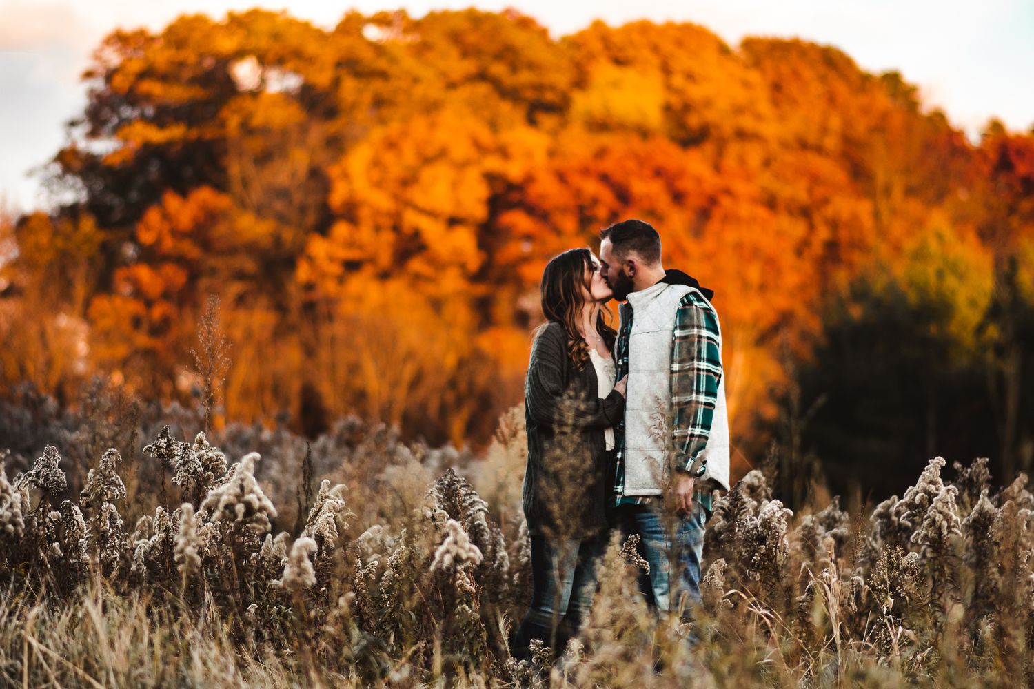 Silhouetted couple kissing in tall grass during golden sunset.