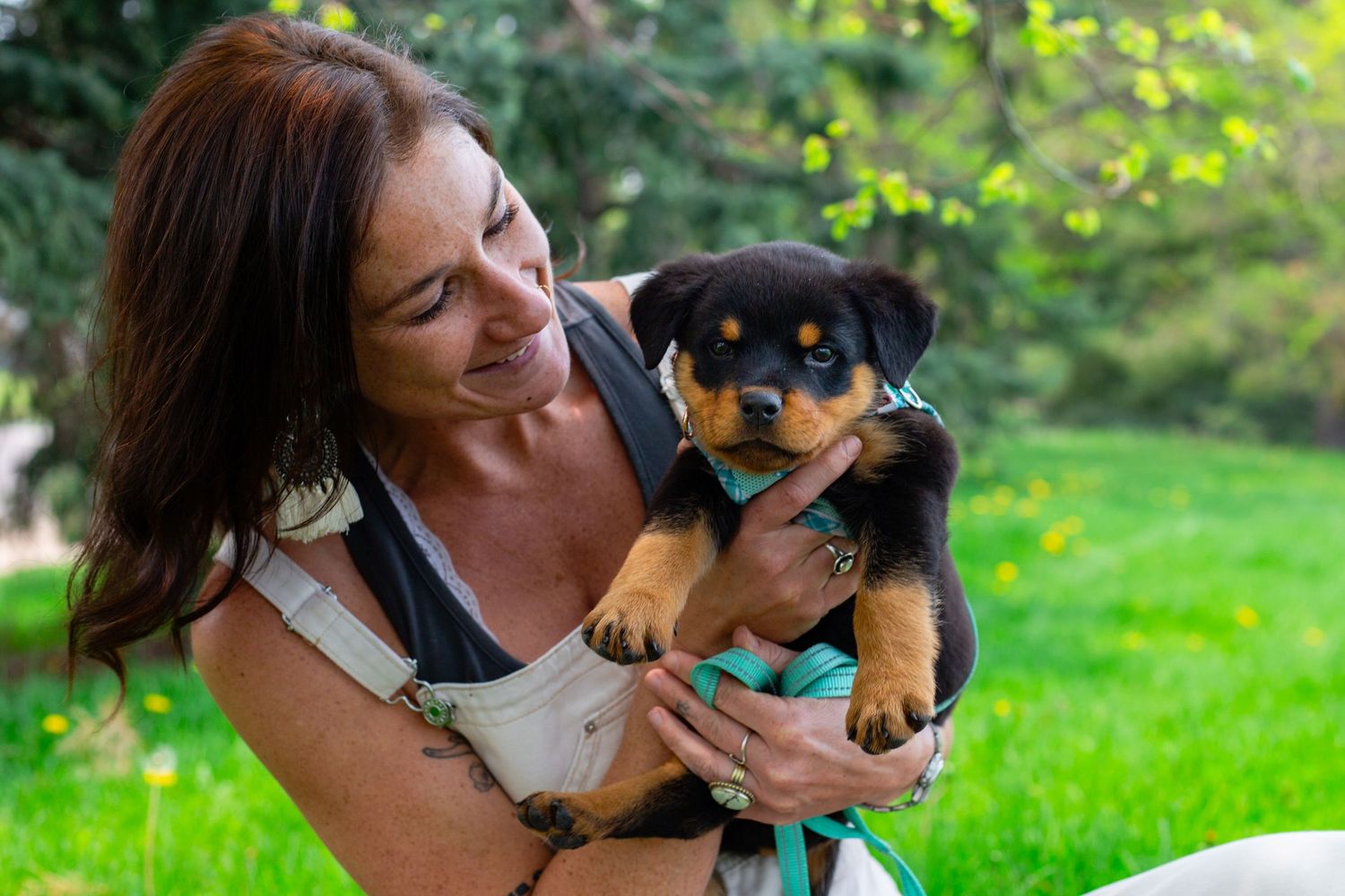 Pet Photography, Colorado Pet Photography, Denver Pet Photography, Colorado Pet Portraits, Denver Pet Portraits