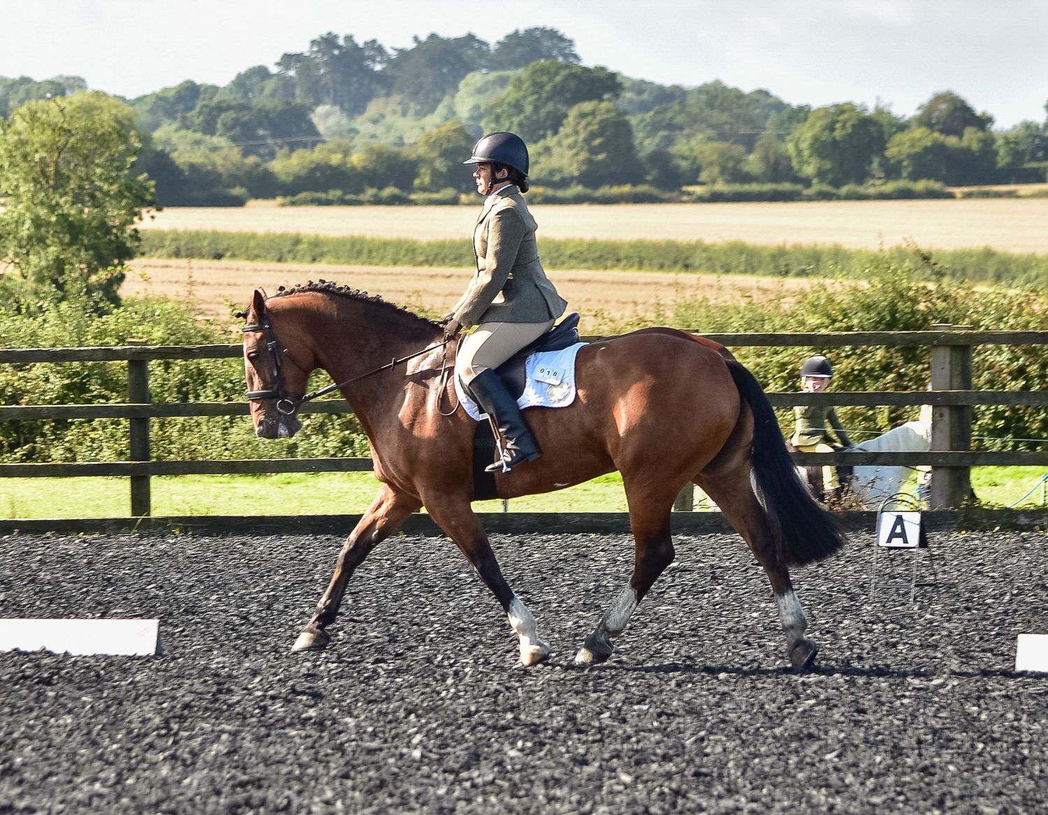 Equine Dressage