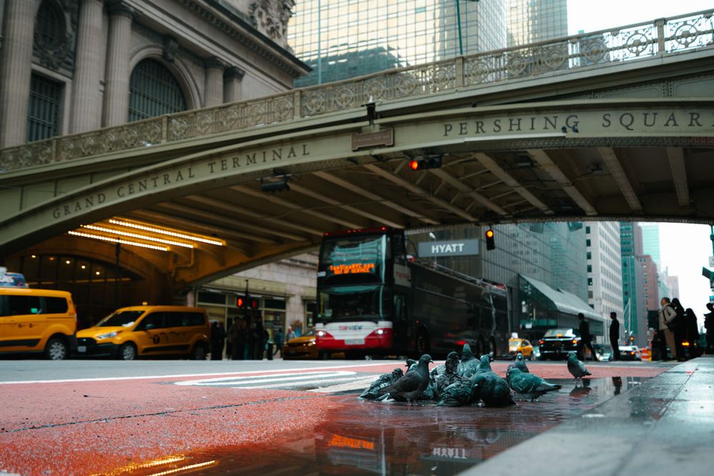 Urban highway underpass with concrete pillars and traffic lanes in New York City.