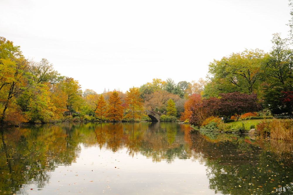 Scenic autumn landscape of a lake surrounded by colorful fall foliage.