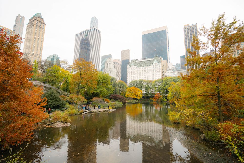 Central Park lake view with fall foliage and Manhattan skyscrapers in the background.