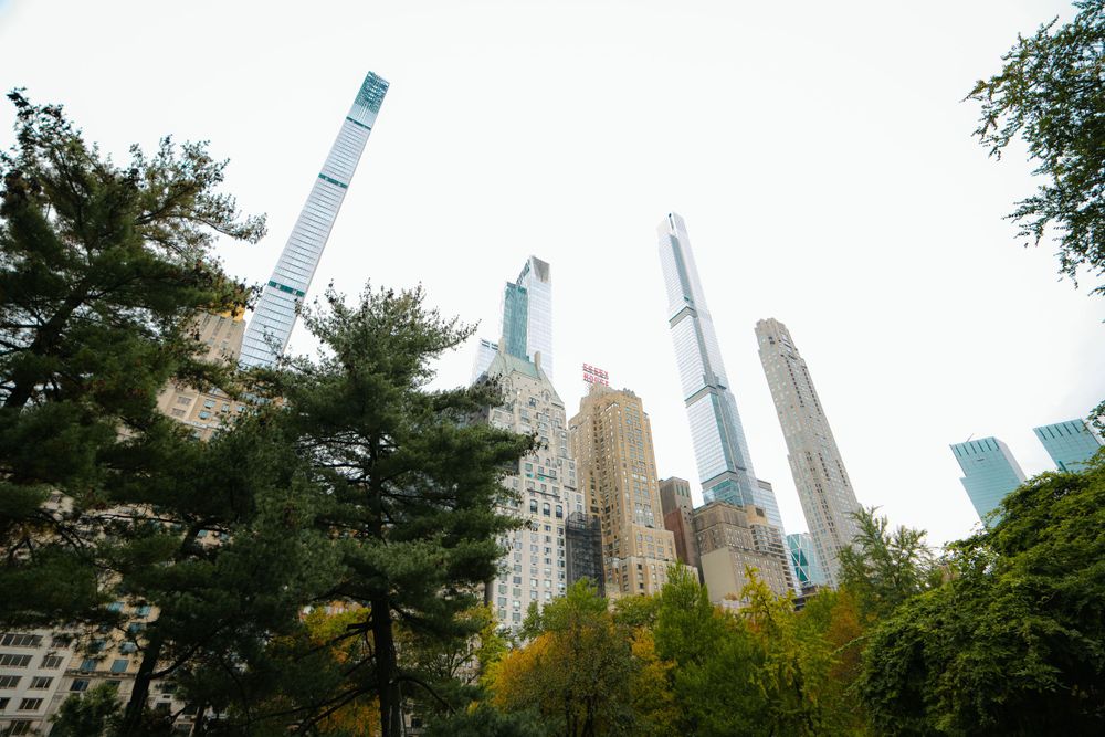 Modern skyscrapers and tall buildings viewed through trees in Central Park.