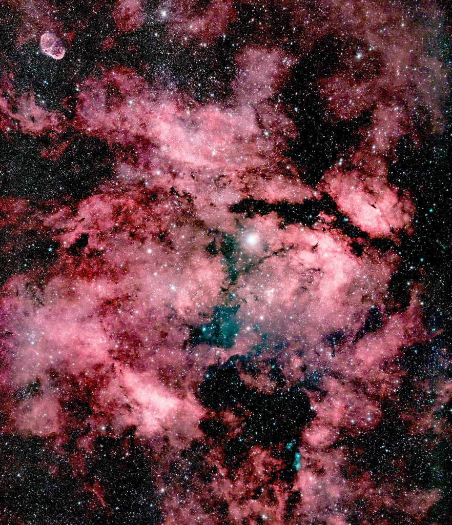 GAMMA CYGNI NEBULA, IC 1318, AND CRESCENT NEBULA, NGC 6888