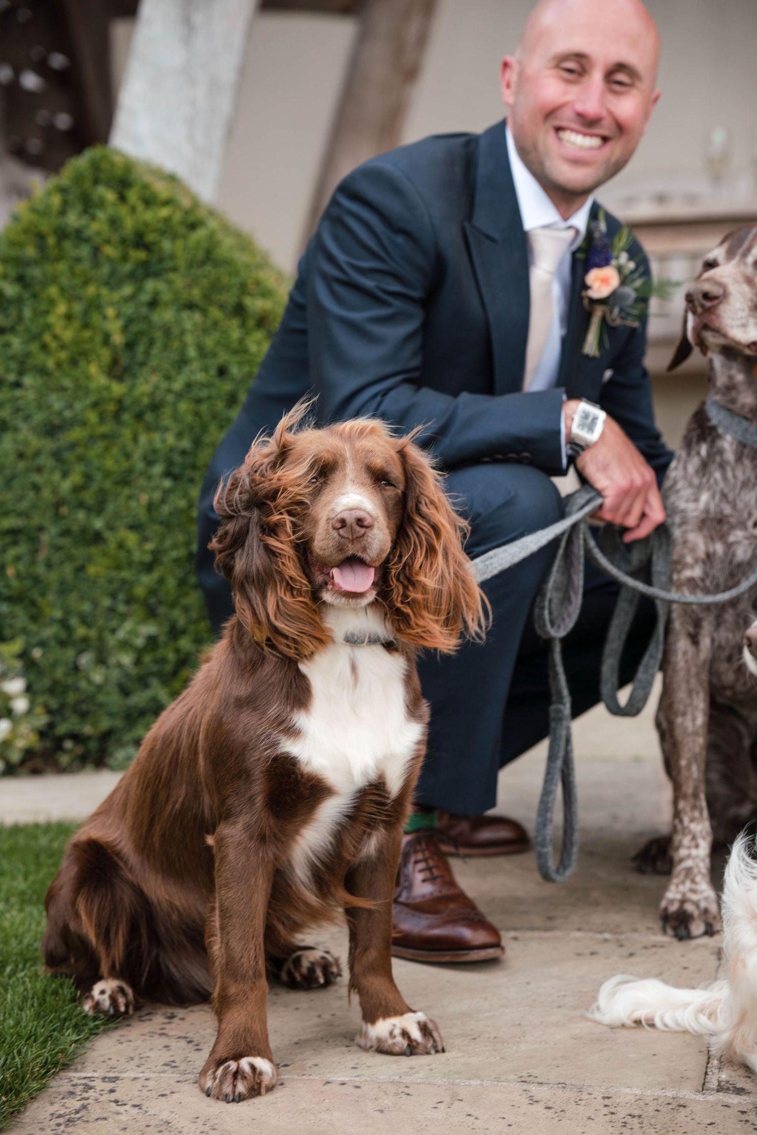 Zara Davis Photography Dogs at Weddings Cheltenham Cirencester Kingscote Barn Cotswolds