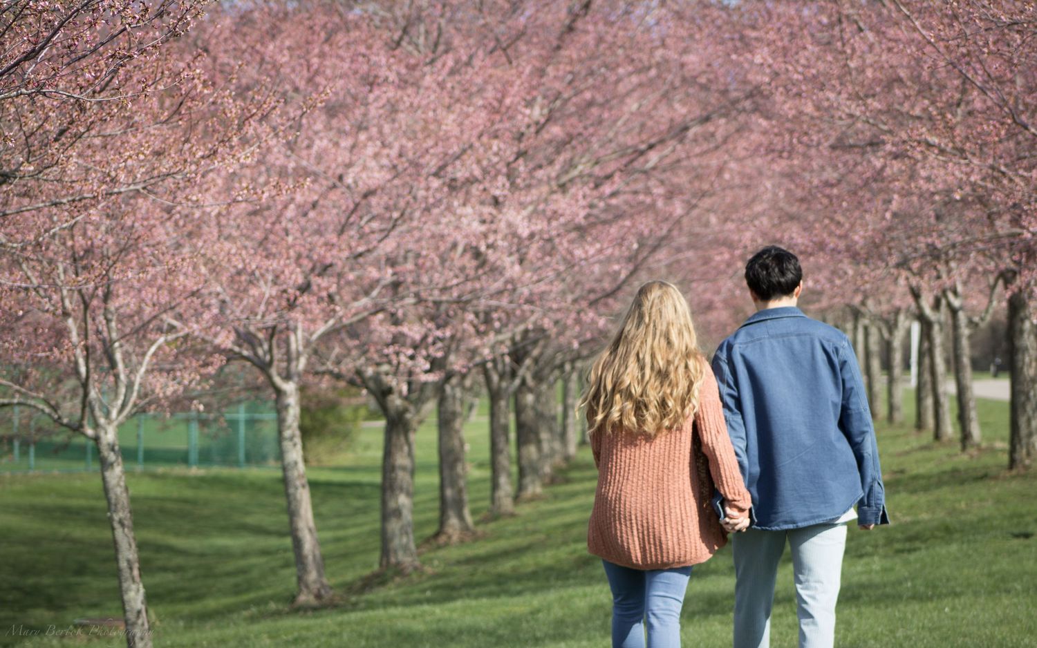 Couple walking hand in hand through a scenic park lined with pink cherry blossoms.