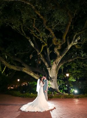 A romantic nighttime wedding portrait under a majestic oak tree illuminated by soft lights.
