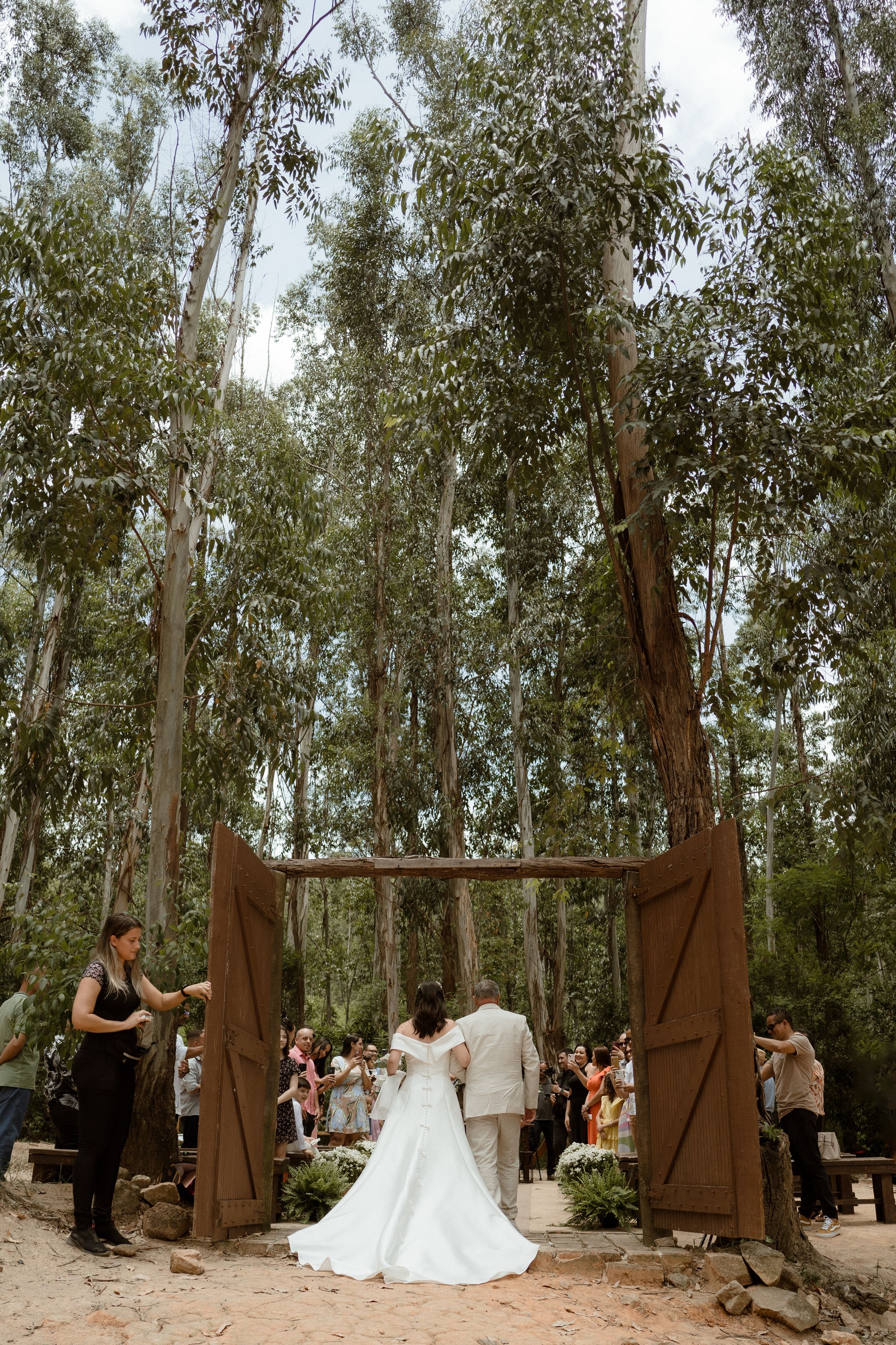 Rustic wooden arch frames a wedding ceremony in a serene eucalyptus forest.