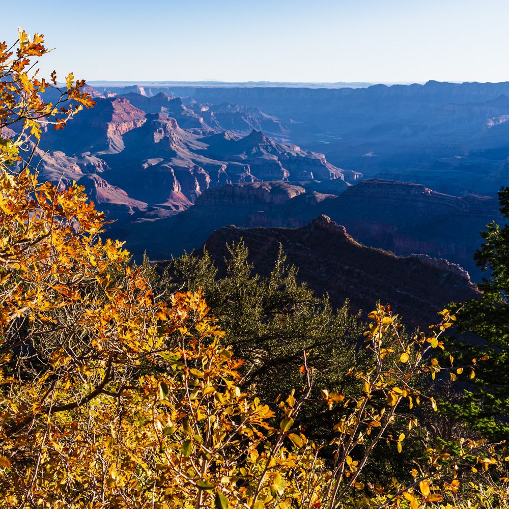 Grand Canyon