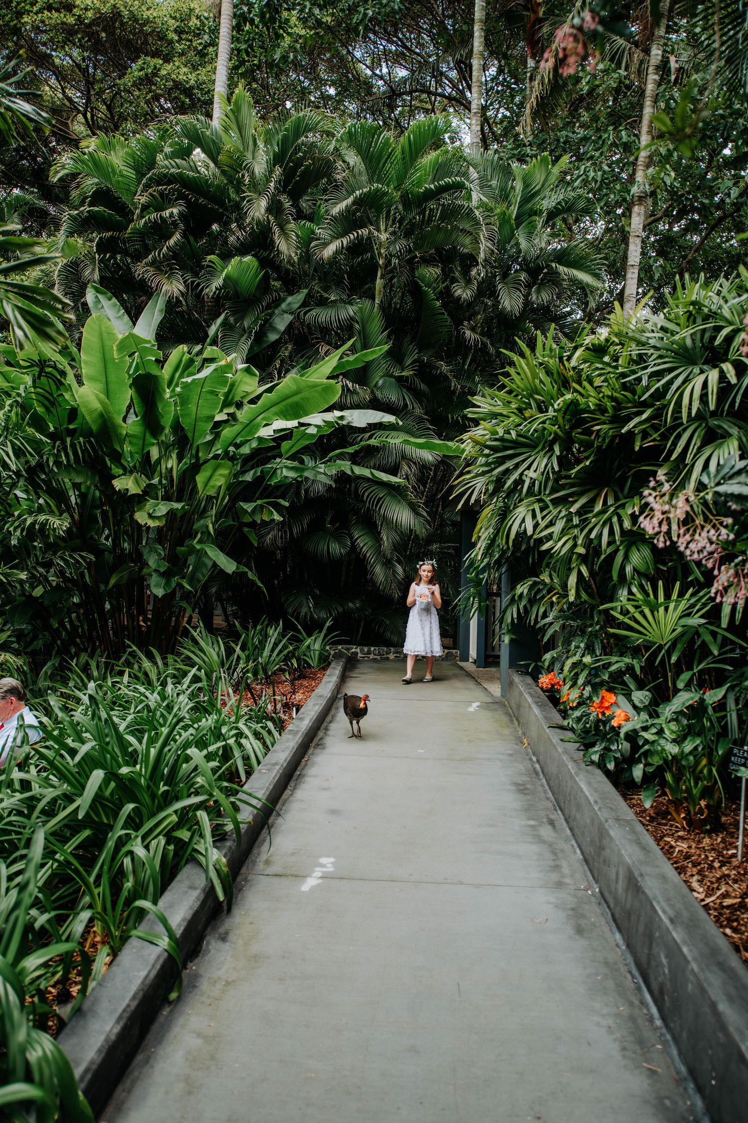 Stone pathway through tropical garden with palm trees and flowering plants.