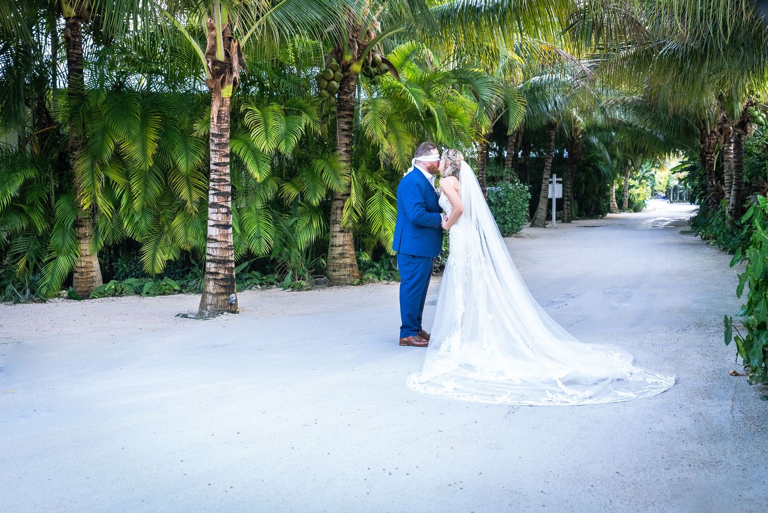 Palm tree-lined pathway with white decorative elements in a tropical garden setting.