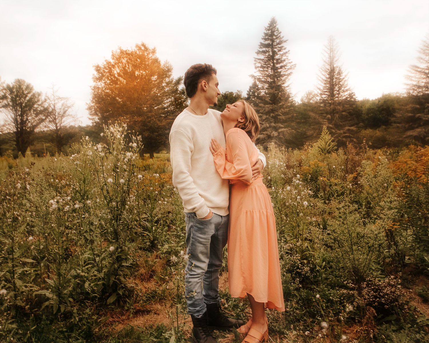 A romantic couple embraces in a golden autumn meadow with evergreen trees in the background.