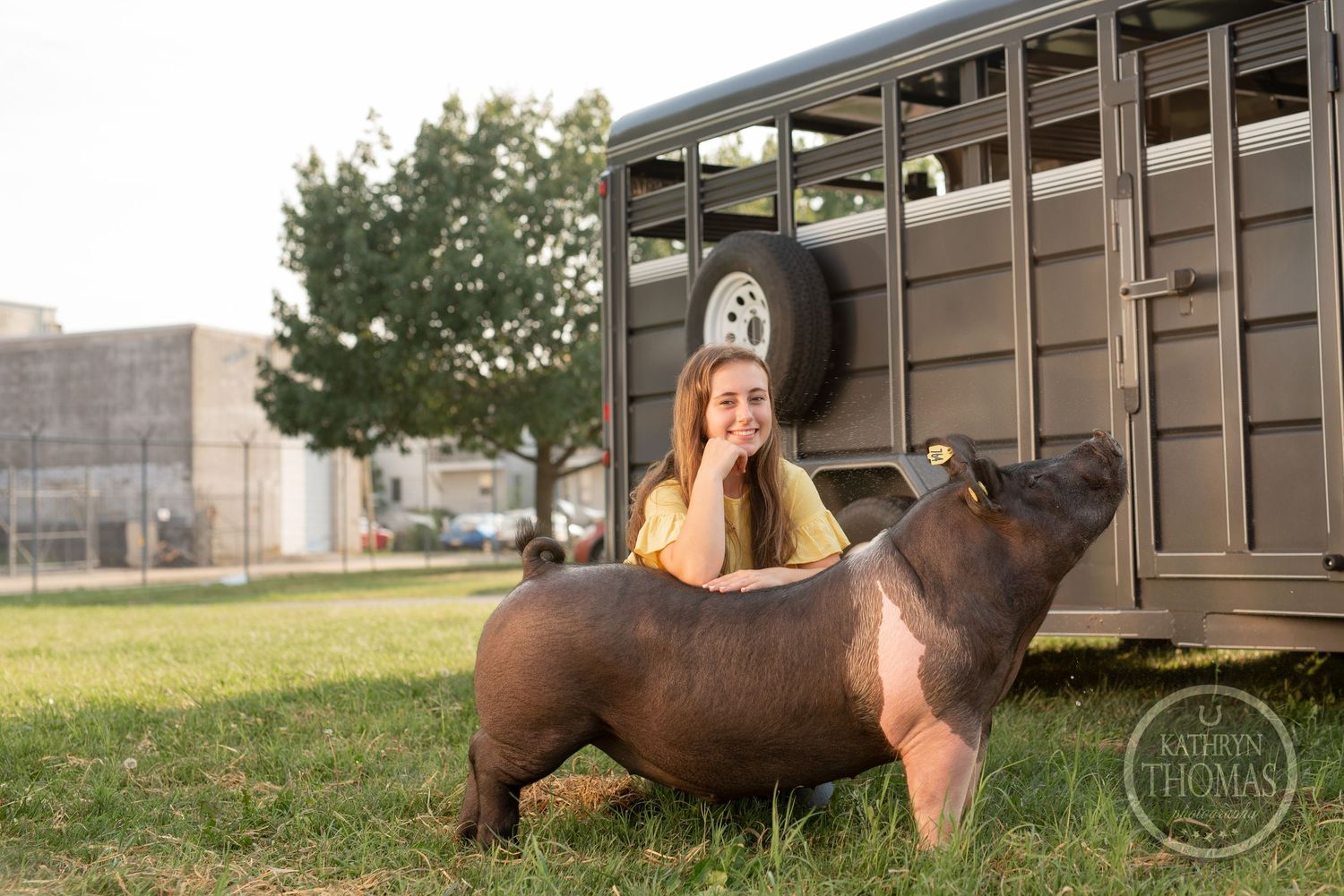 A show pig stands proudly next to a livestock trailer in late afternoon light.