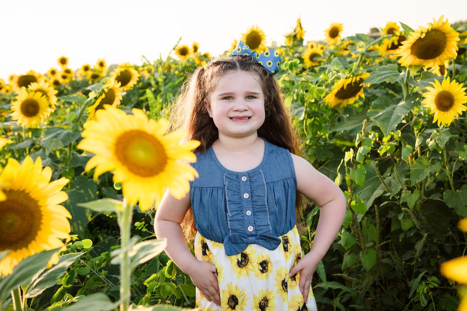 Sunflower Mini Session Shelby Farms, Memphis, TN