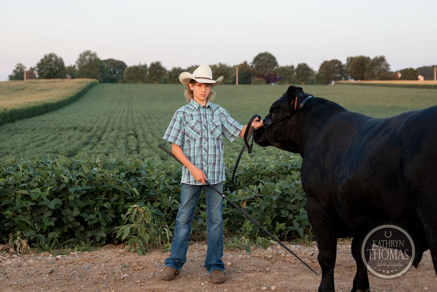 A black show steer poses next to its handler in a plaid shirt against a backdrop of green agricultural fields.