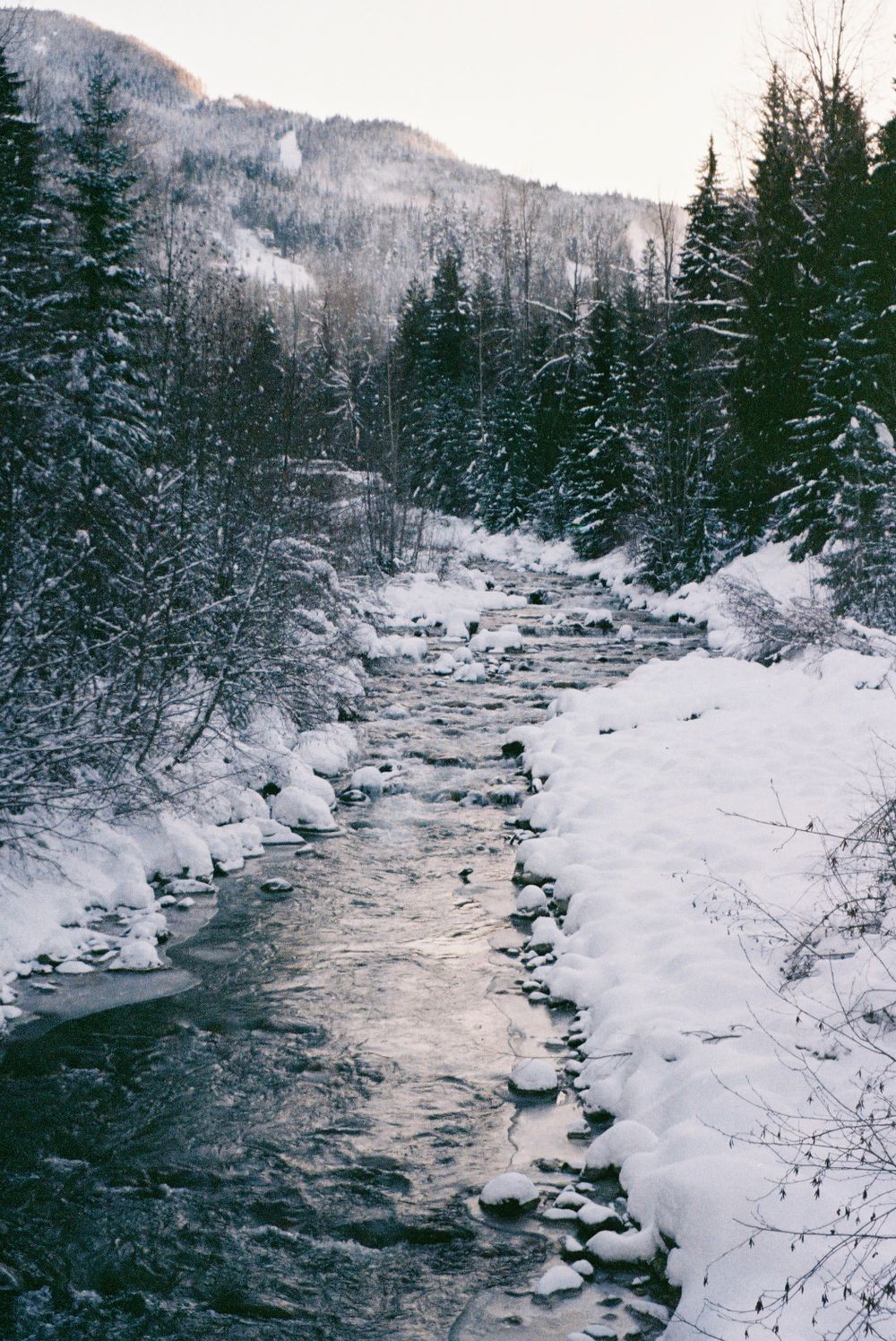 Snow-covered winter scene with flowing stream through evergreen forest.