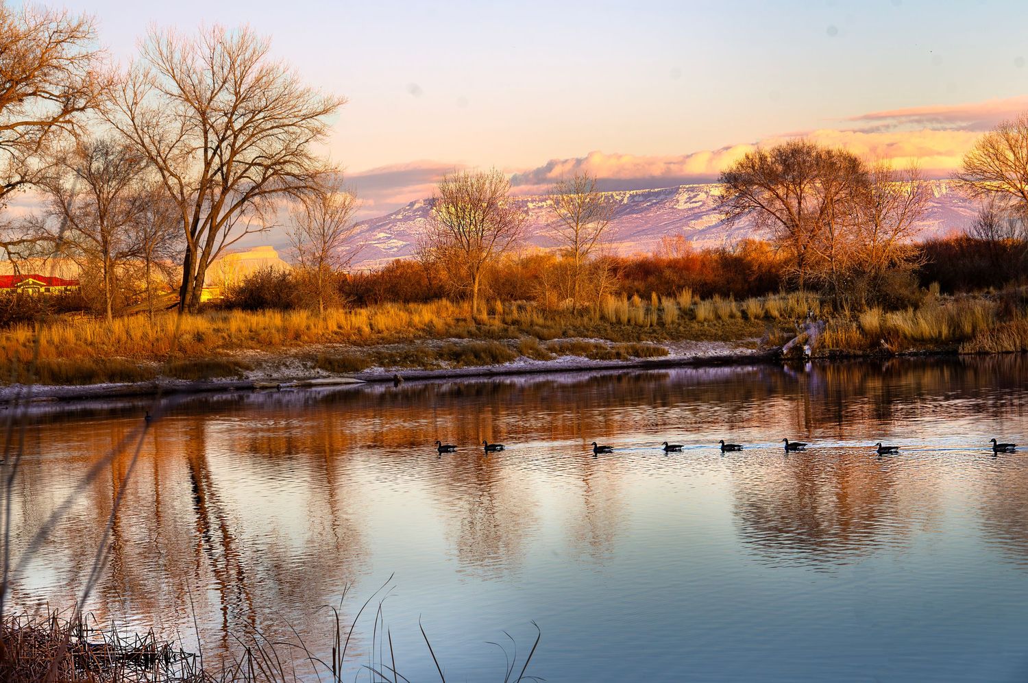 A canvas photo of a lake and trees located in the Western slope of Colorado for the website WhiteFlamingoPhotos.com