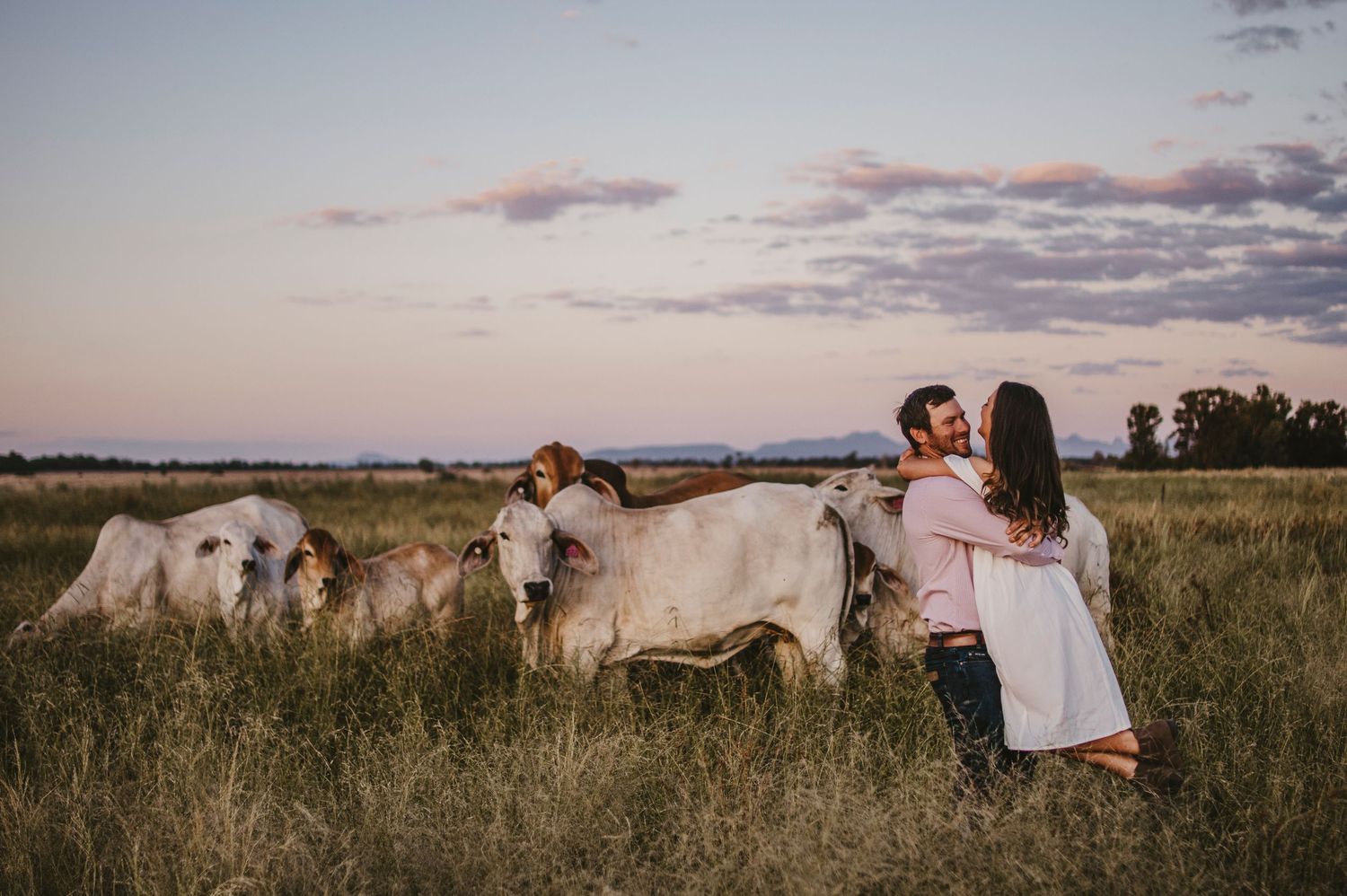 rural engagement session, Warrumbungles and Brahman. Curban NSW