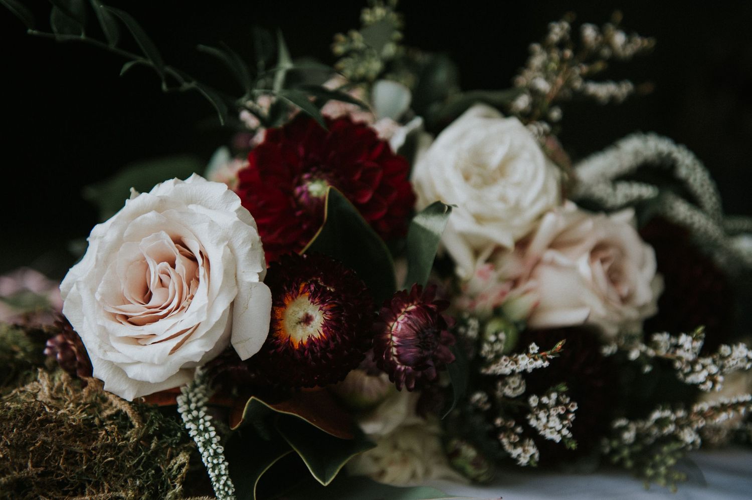 Whistler photographer & Floral Photography