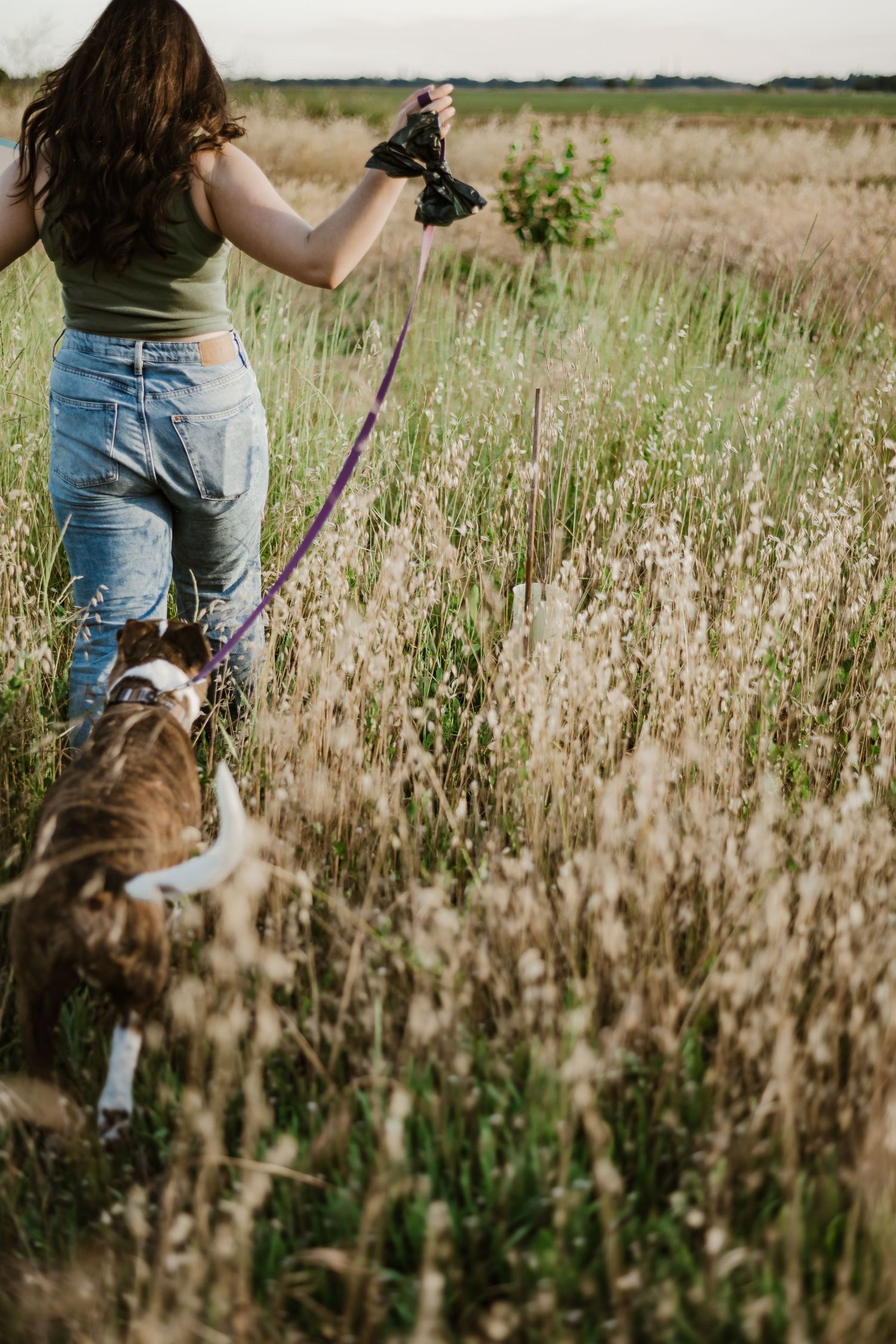 People walking through a tall grass meadow on a sunny afternoon.