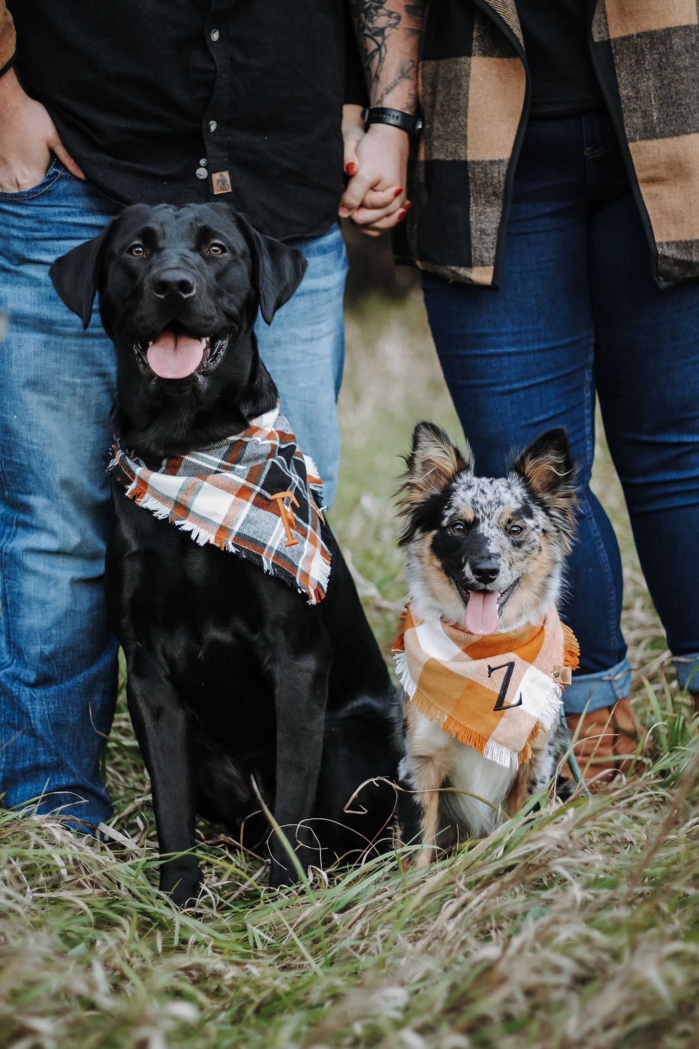 Two happy dogs wearing plaid bandanas posing with their owners in tall grass.