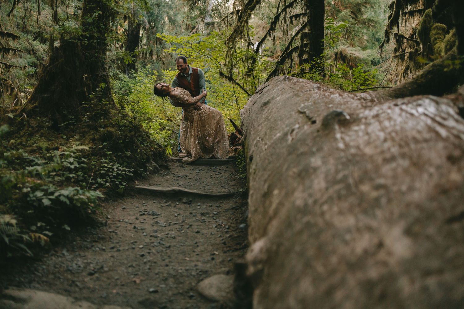 A fallen tree and forest trail path leading to a couple in wedding attire he is dipping her The Hoh Rainforest Olympic National Park