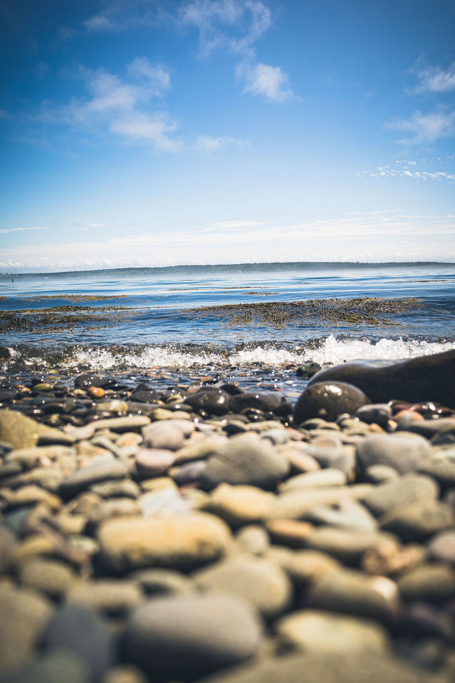 A rocky beach on the shore of Nova Scotia