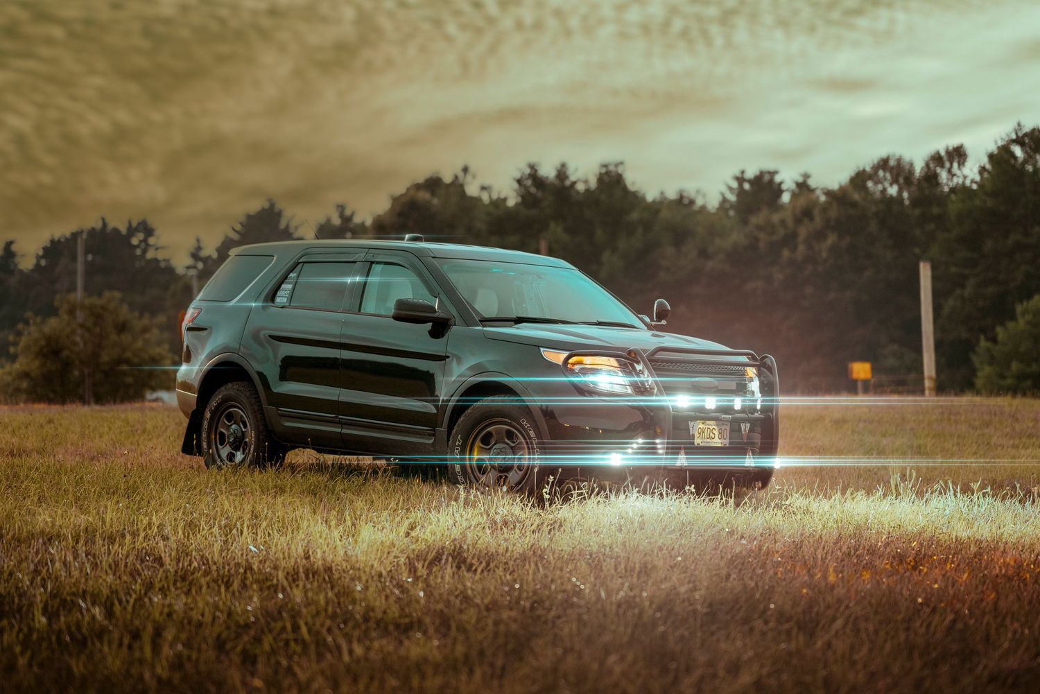 Dark green SUV photographed in moody lighting with tall grass in foreground at dusk.
