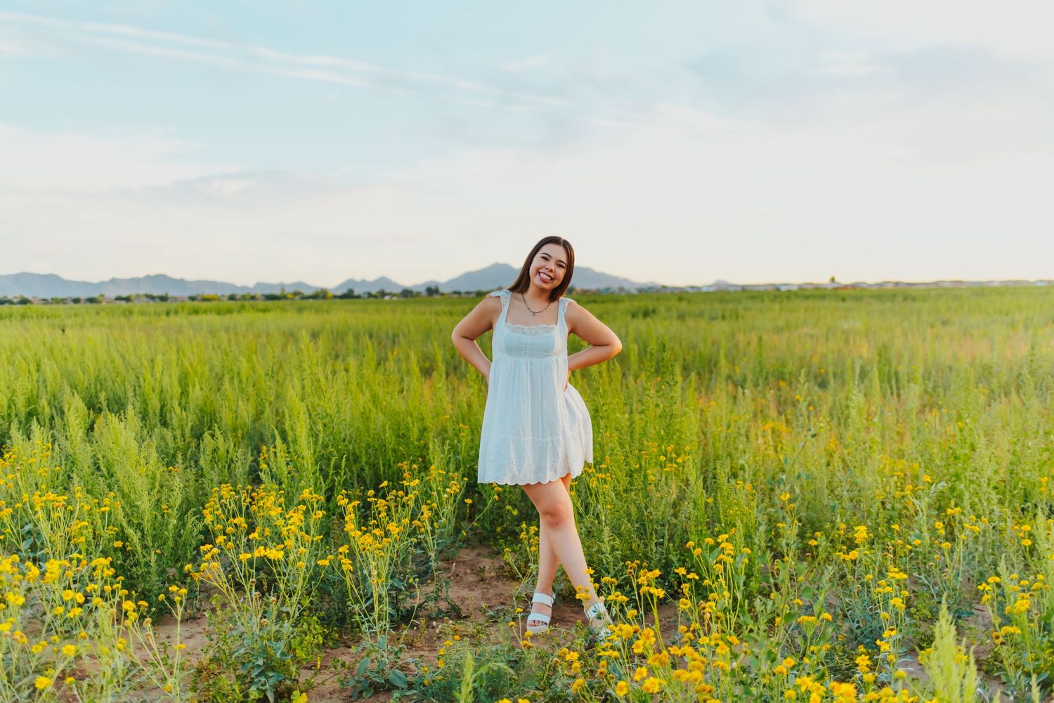 Arizona flower field