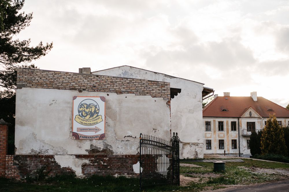 reportaż-ślub-młodzikowo