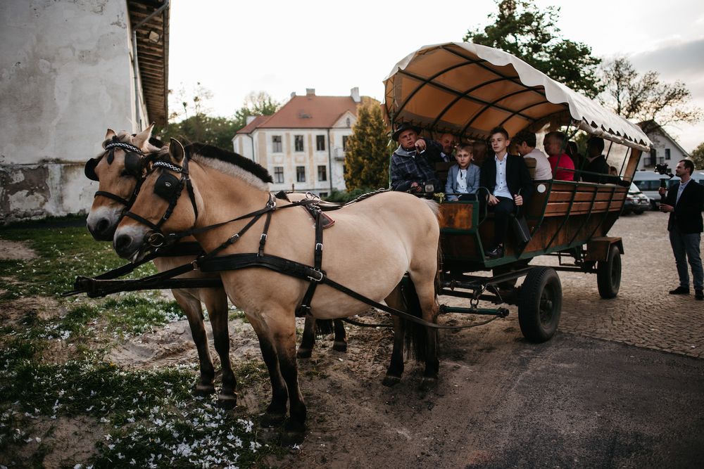 reportaż-ślub-młodzikowo