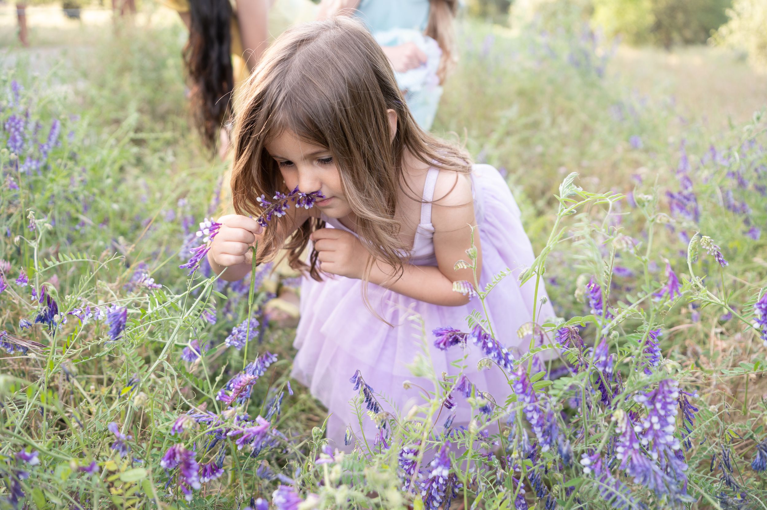 Stop and smell the flowers, young girl smelling the flowers, spring flowers in California, California photographer.