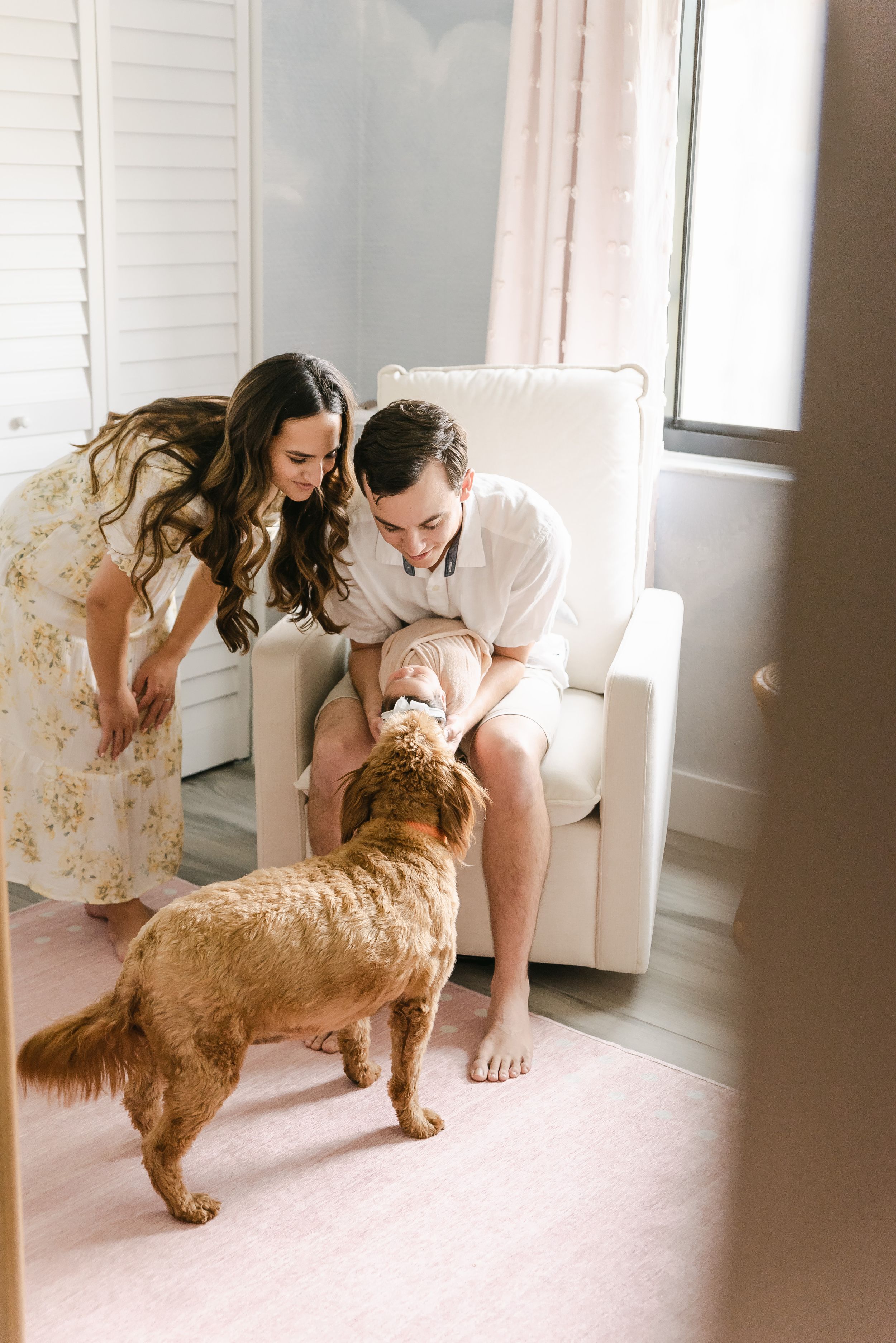 fur babies, pets, and newborn