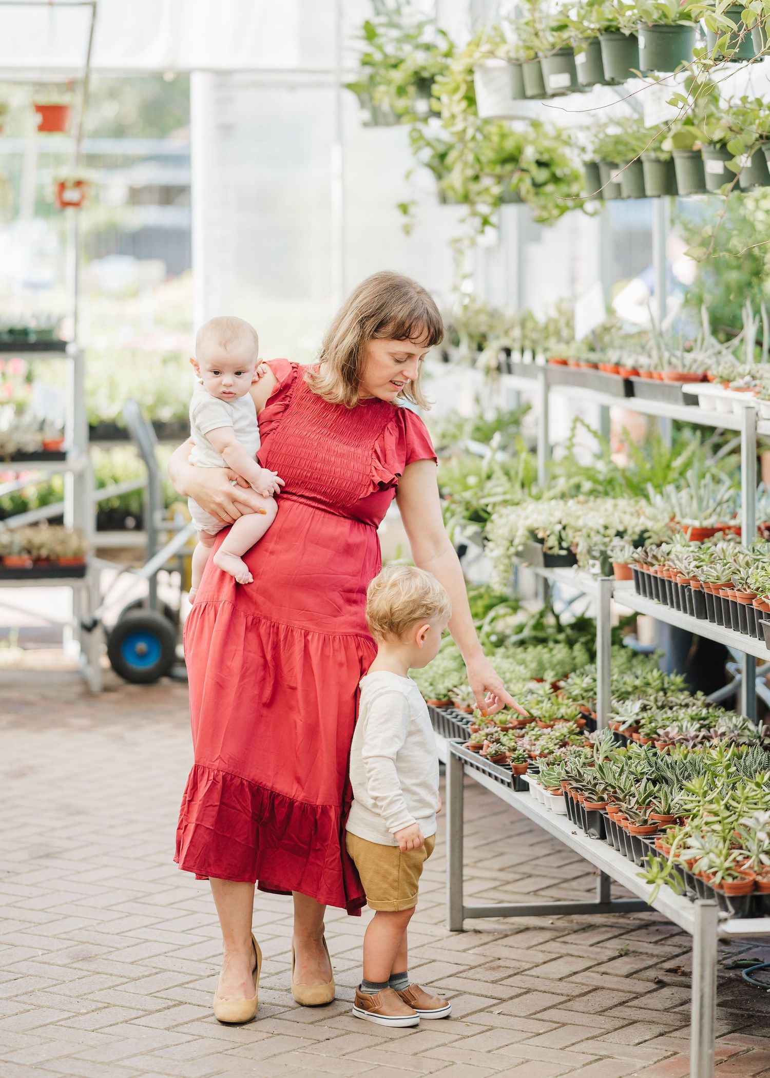 greenhouse family photoshoot looking at succulents with a 6 month old baby and two year old boy