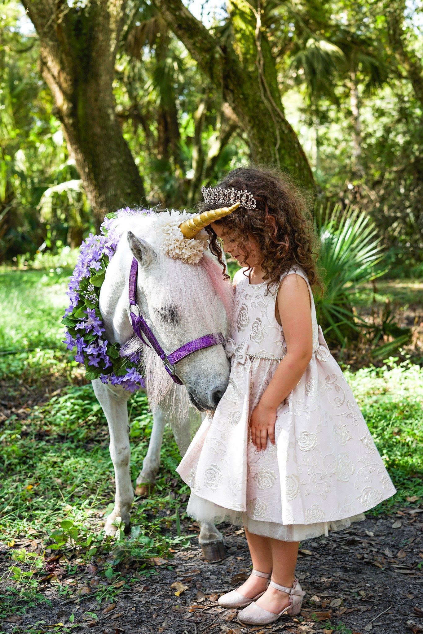 Tampa Bay Family Photographer, Unicorn Photos