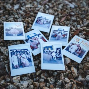 A collection of instant polaroid photos showing wedding moments scattered on a gravel surface.