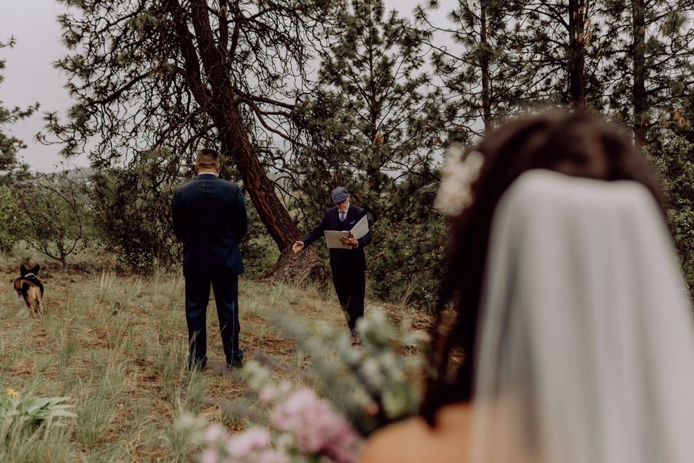 Wedding ceremony setup in a natural wooded setting with attendees standing among pine trees.