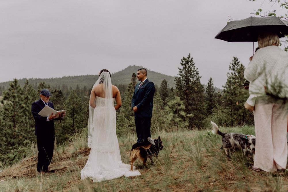 An intimate outdoor wedding ceremony in a mountainous landscape with an umbrella and pets present.