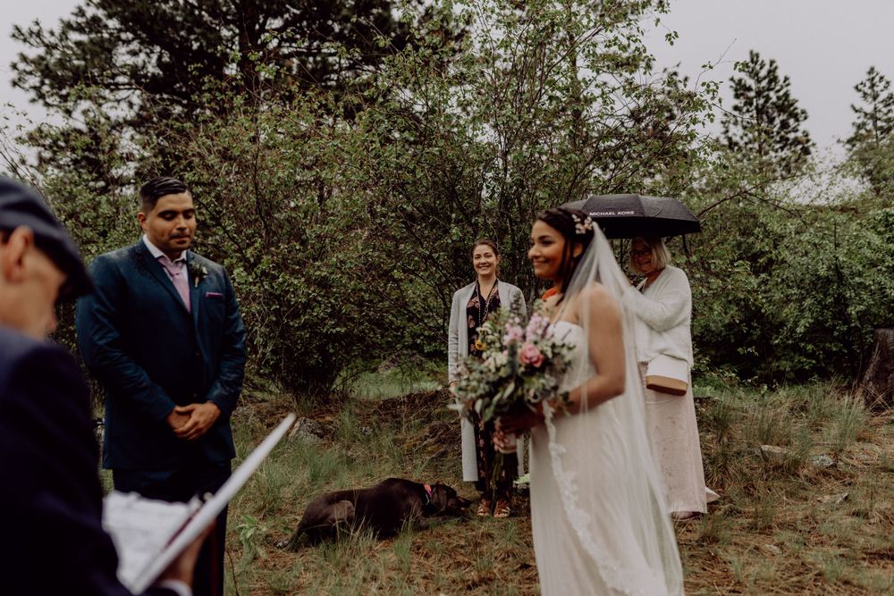 A small wedding gathering on a hillside with pine trees and umbrellas in overcast weather.