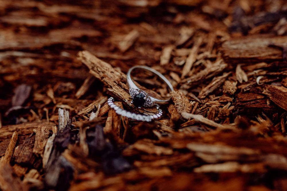 Wedding rings nestled among rustic wood chips in macro photography.