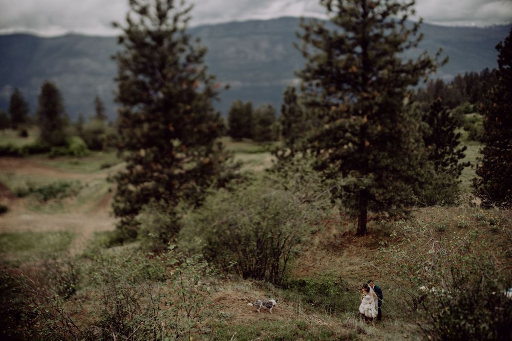 Scenic mountain landscape with evergreen trees and distant figure on hillside.