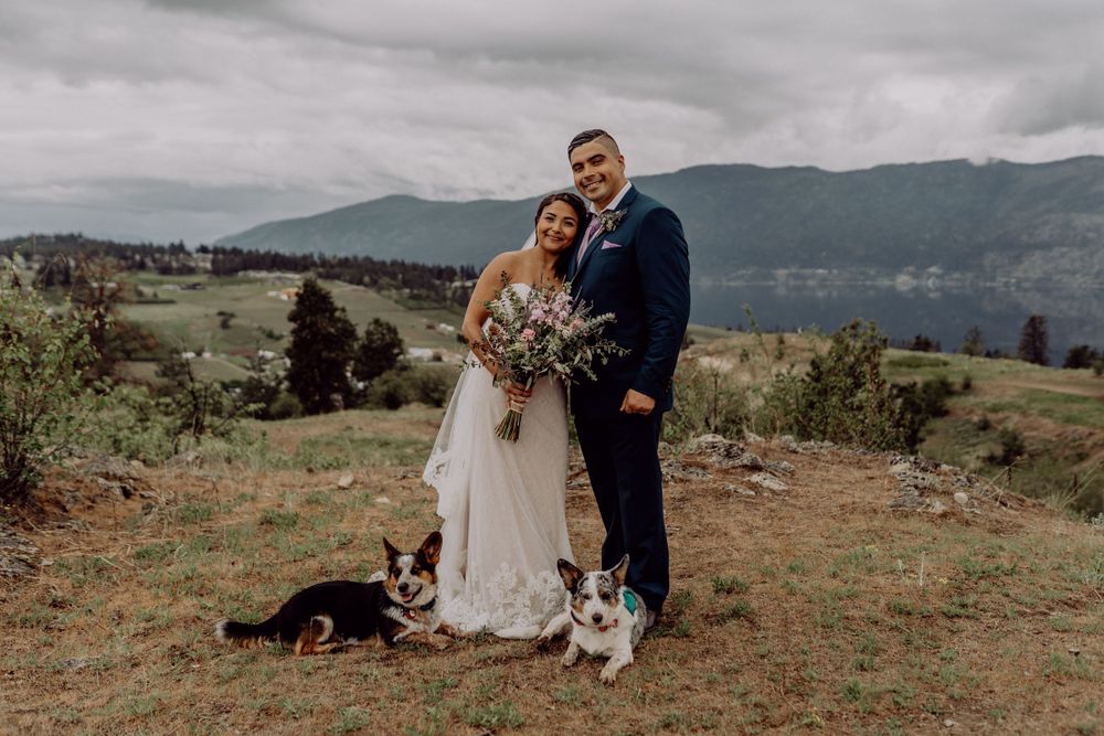 A wedding couple poses with their dogs against a mountainous backdrop.