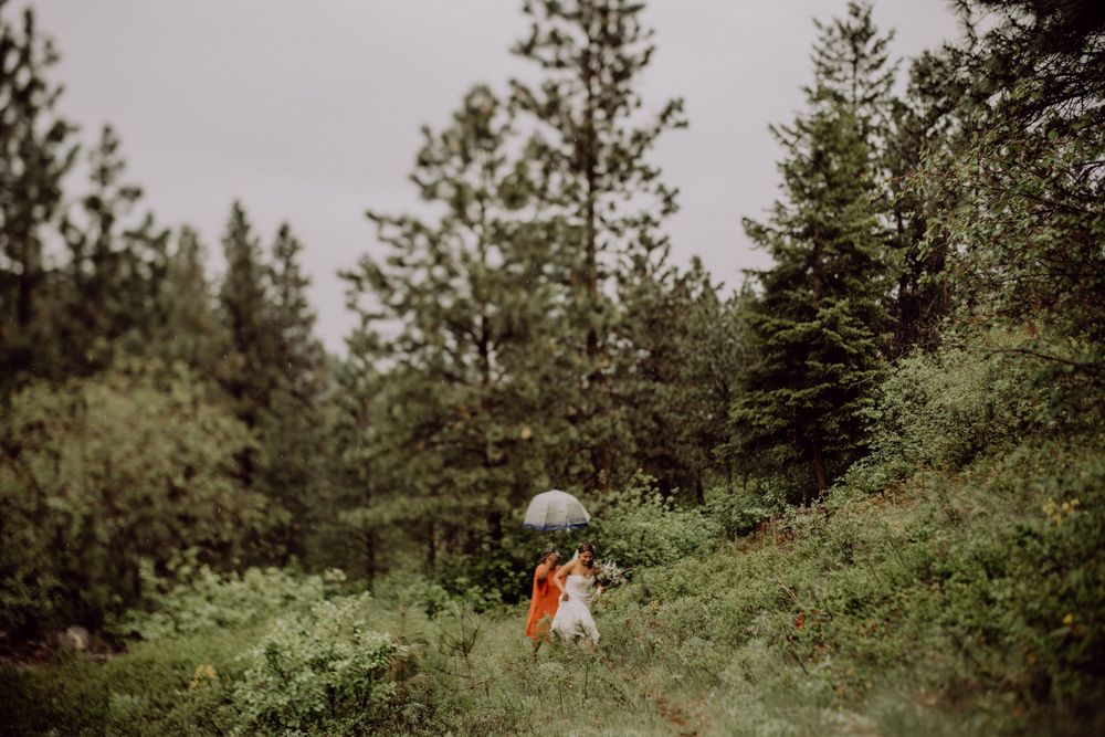 Distant view of wedding couple amid pine forest on misty mountainside.