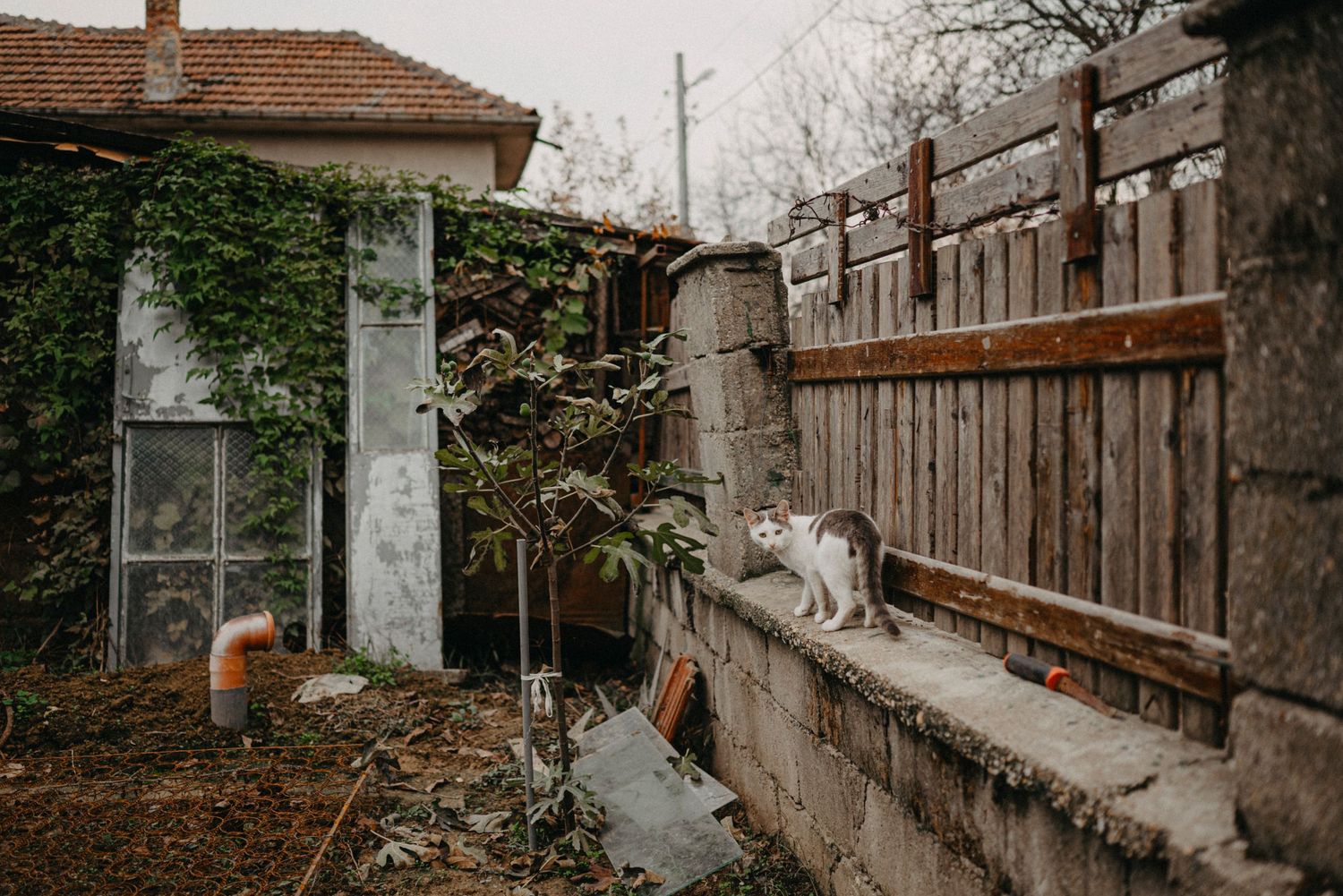 семейна фотография, семейни истории, семейна фотосесия вкъщи, семейство, детска фотография русе, детско парти рожден ден