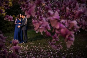 maternity in cherry blossom Washington DC