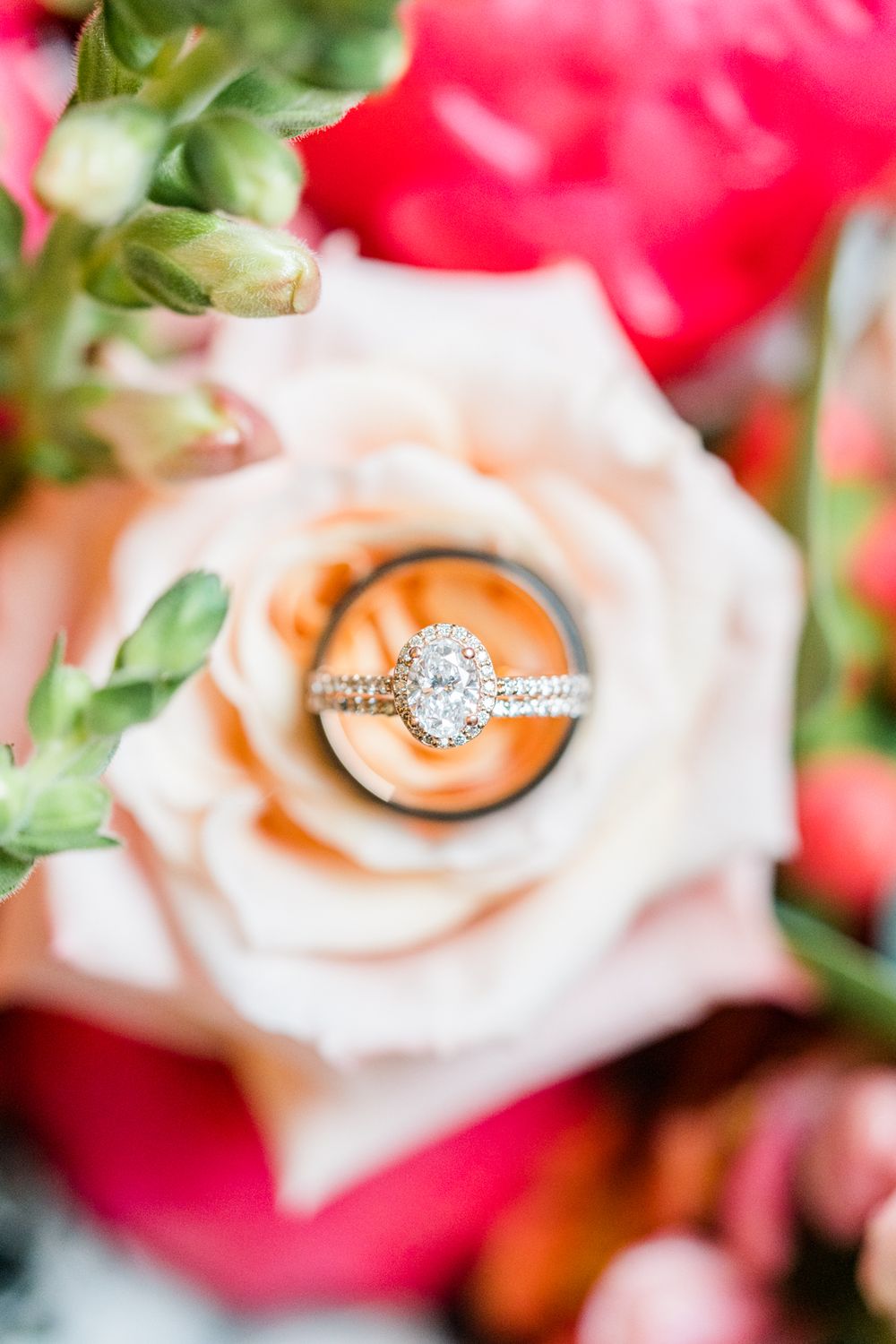 A sparkling diamond engagement ring nestled in the center of a blush pink rose with red flowers in background.